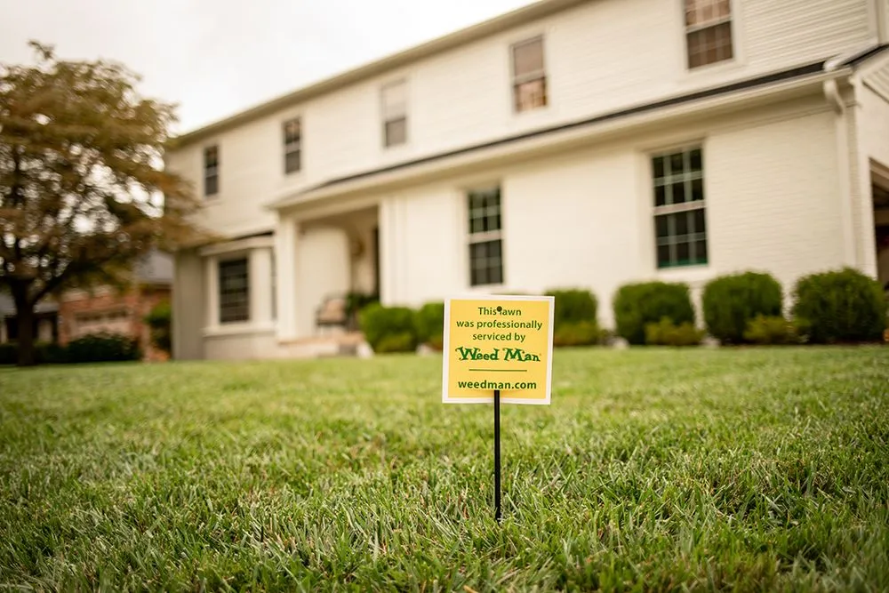 Custom lawn mowing service with custom design across West Chester, PA - Weed Man