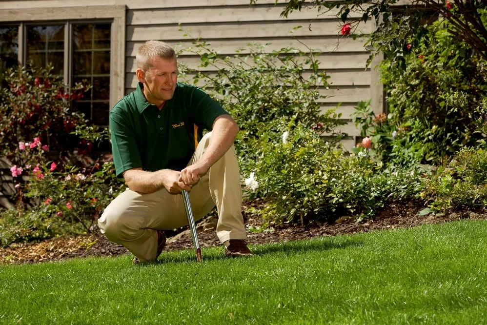 Local yard maintenance for residential properties in Wethersfield, CT by Weed Man