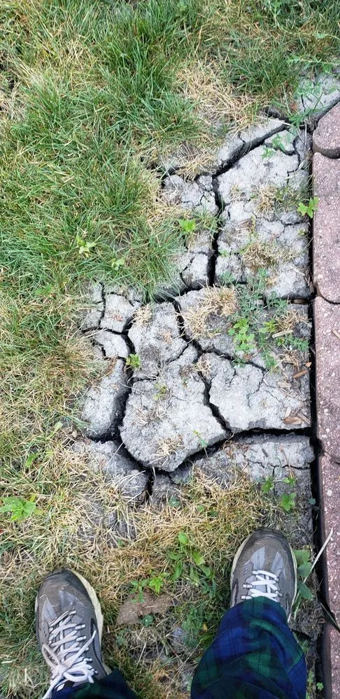 Top-rated yard cleanup service with custom design in Wheeling, IL by Weed Man