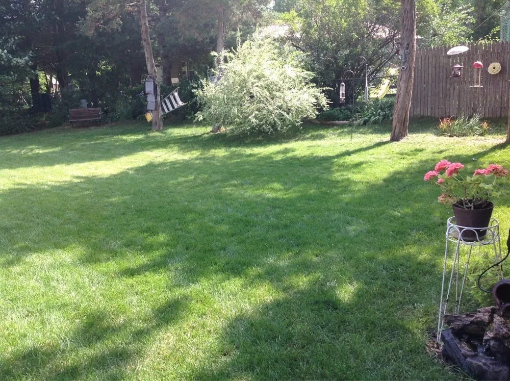 Top-rated outdoor landscaping experts serving Wheeling, IL - Weed Man