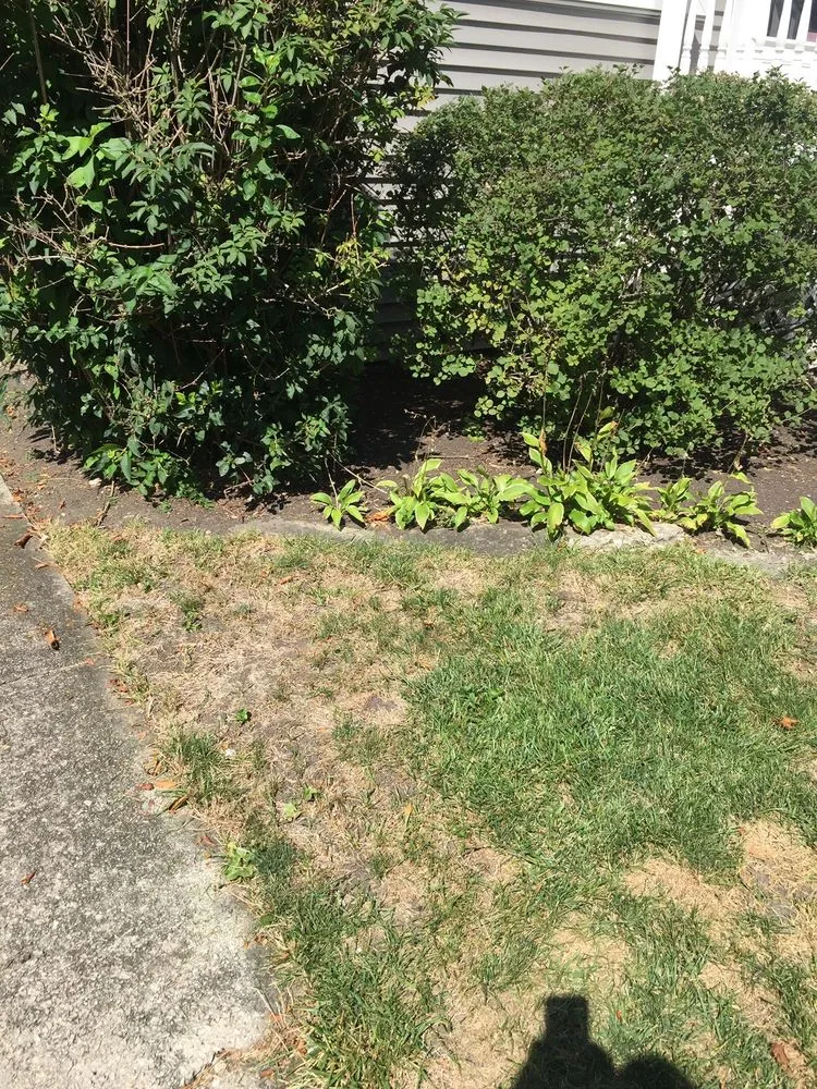 Trusted lawn mowing service experts serving Wheeling, IL - Weed Man