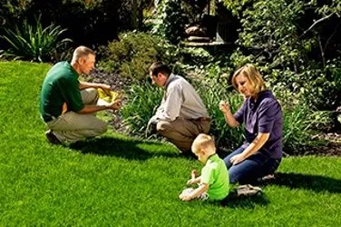 Custom landscaping services with custom design in Whitehouse, TX by Weed Man