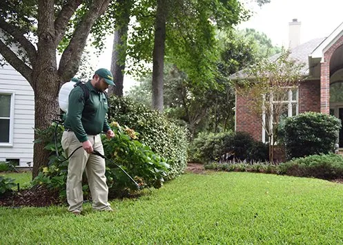Custom residential landscaping in Whitehouse, TX by Weed Man