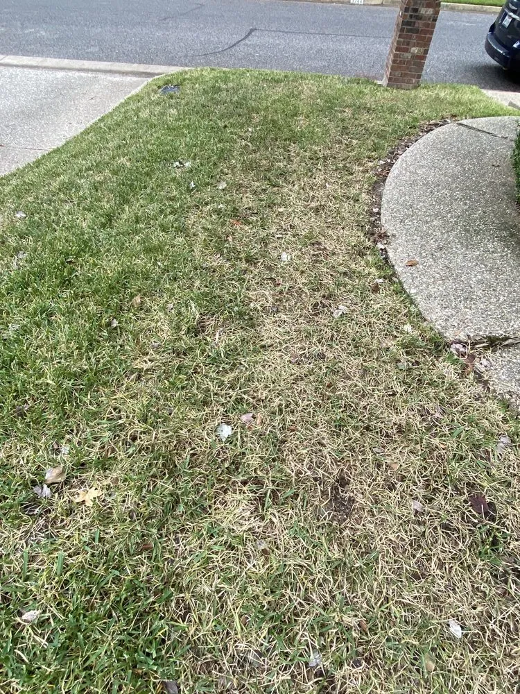 Affordable garden landscaping experts serving Whitehouse, TX - Weed Man