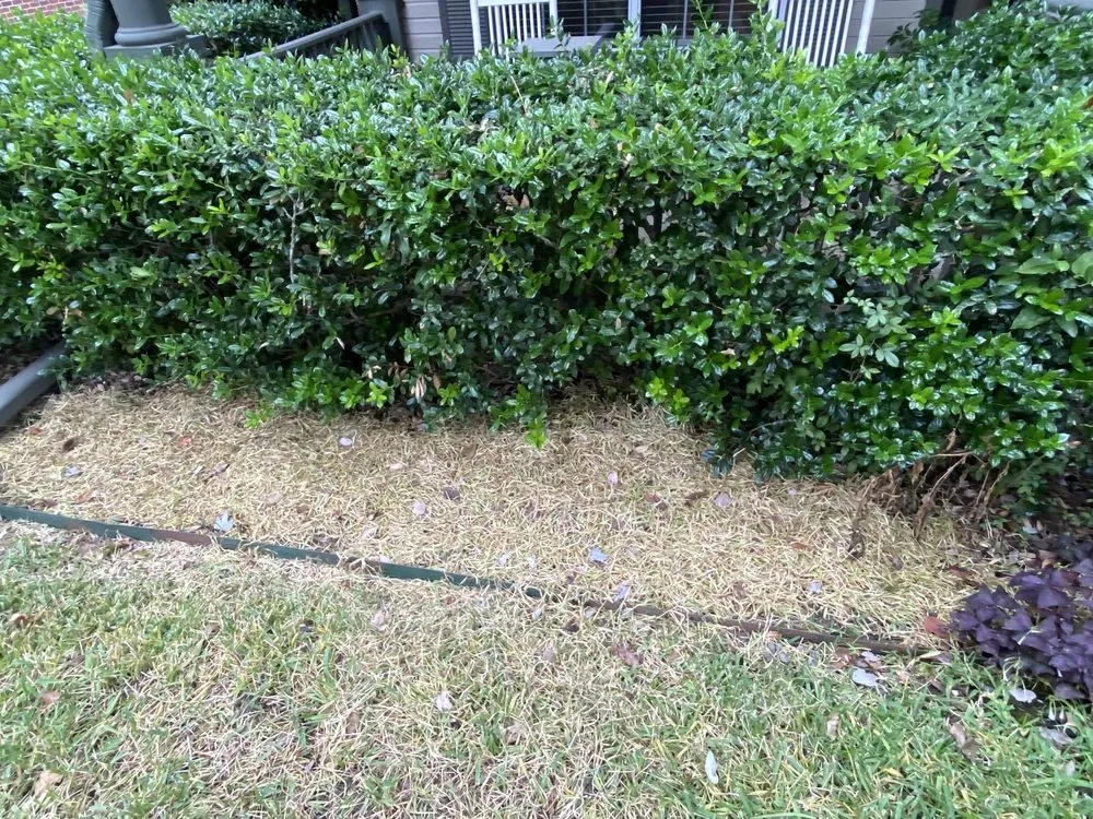 Expert landscaping services for homes in Whitehouse, TX by Weed Man
