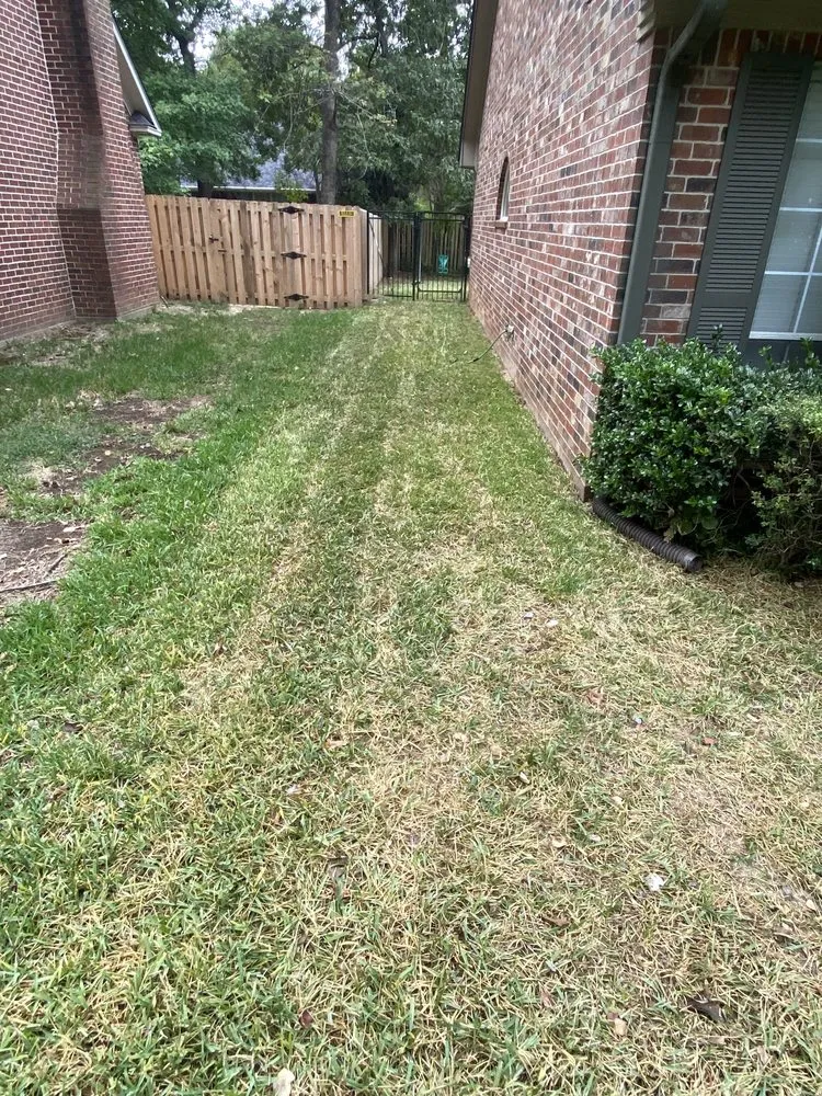 Reliable outdoor landscaping in Whitehouse, TX - Weed Man