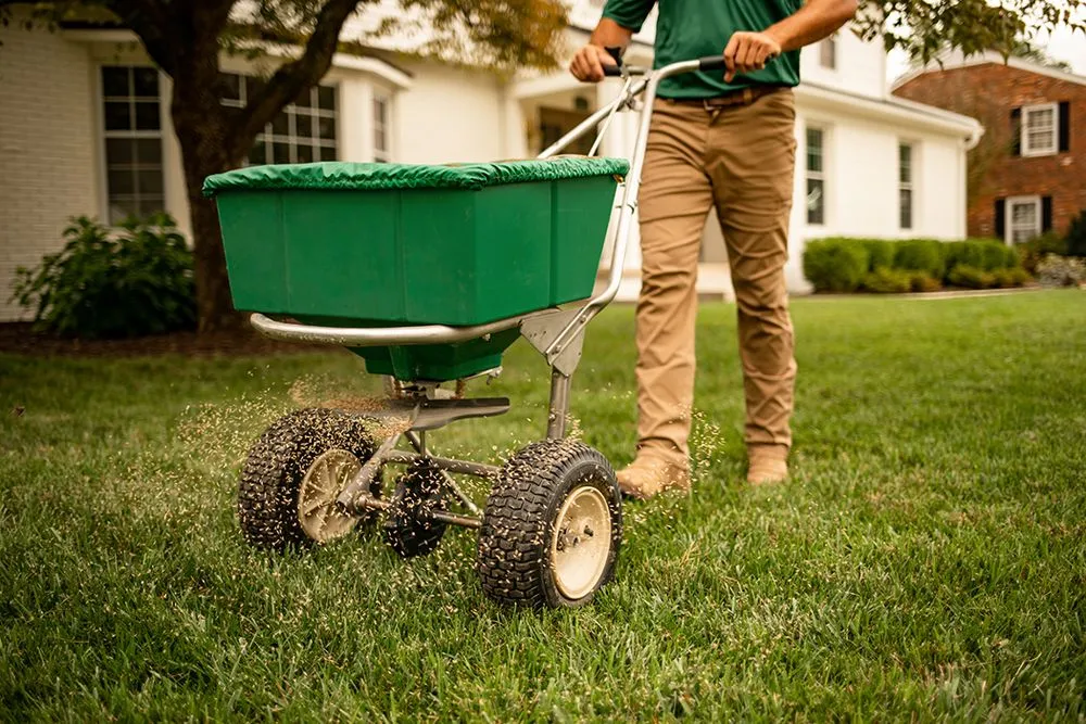 Custom landscaping services in Winston-Salem, NC - Weed Man