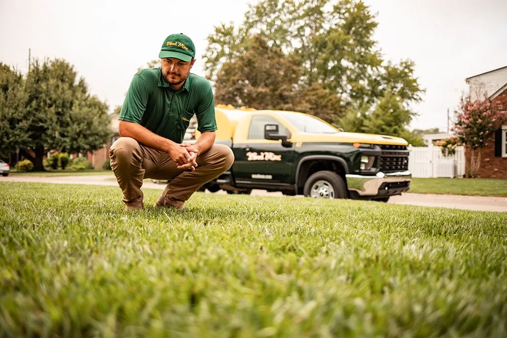 Expert residential landscaping experts serving Winston-Salem, NC - Weed Man