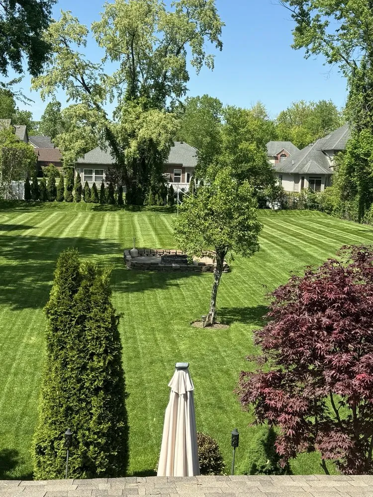 Expert yard maintenance experts serving Wixom, MI - Weed Man