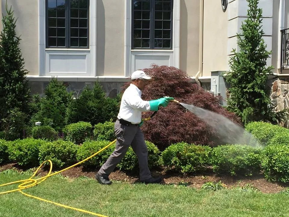 Reliable outdoor landscaping for homes in Nanuet, NY by Weed Patrol