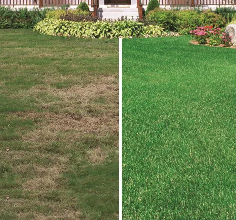 Professional landscape installation for outdoor upgrades in Nanuet, NY by Weed Patrol