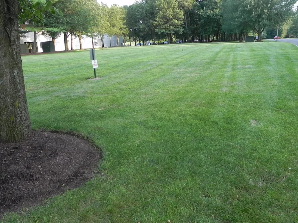 Professional yard cleanup service in Nanuet, NY by Weed Patrol