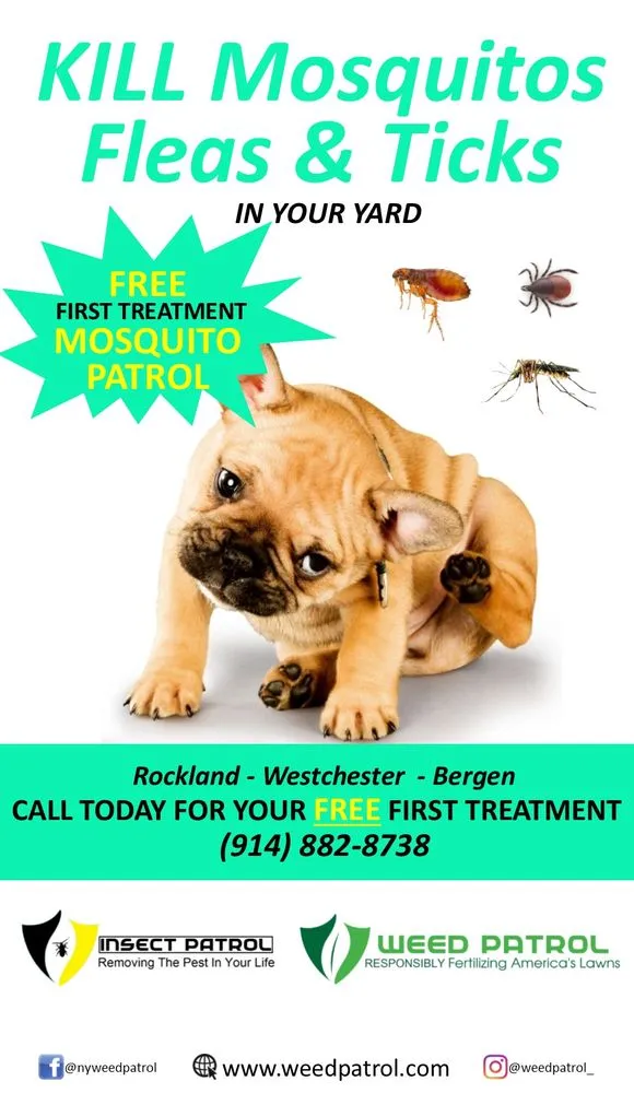 Local landscape design near you across Nanuet, NY - Weed Patrol