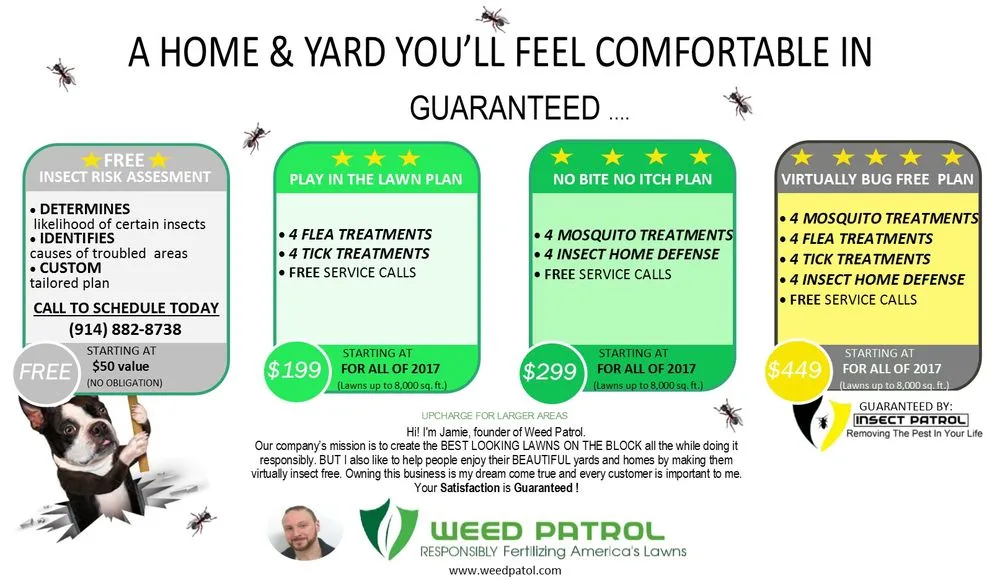 Affordable outdoor landscaping in Nanuet, NY - Weed Patrol