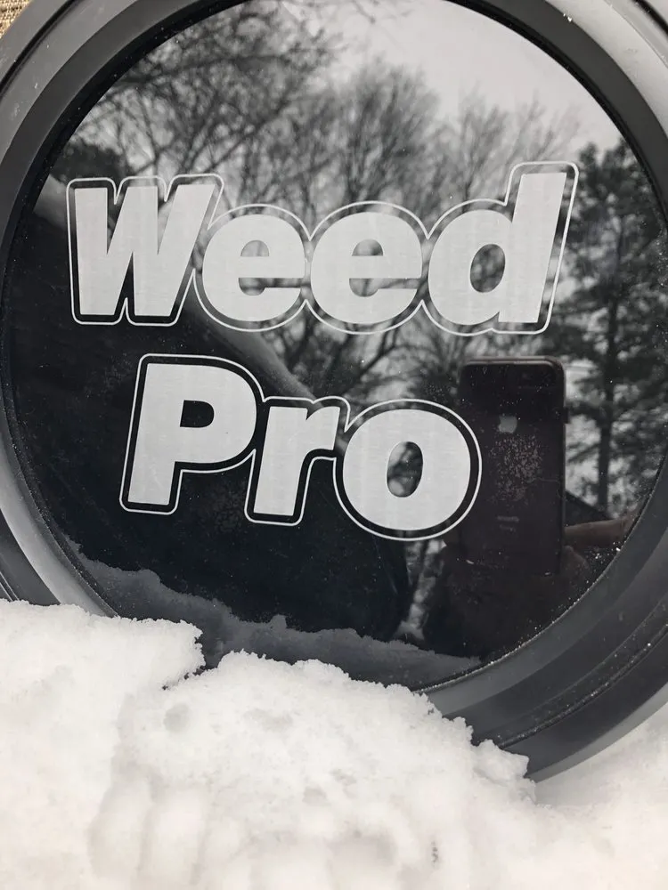 Affordable garden landscaping in Alpharetta, GA - Weed Pro