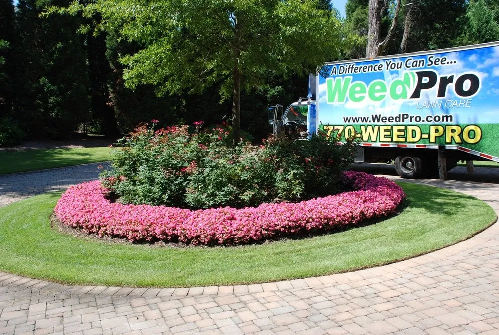 Expert yard maintenance experts serving Alpharetta, GA - Weed Pro