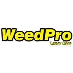 Custom outdoor landscaping in Alpharetta, GA - Weed Pro