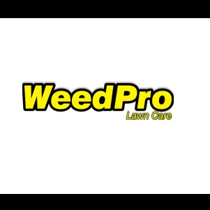 Custom lawn care service in Alpharetta, GA - Weed Pro