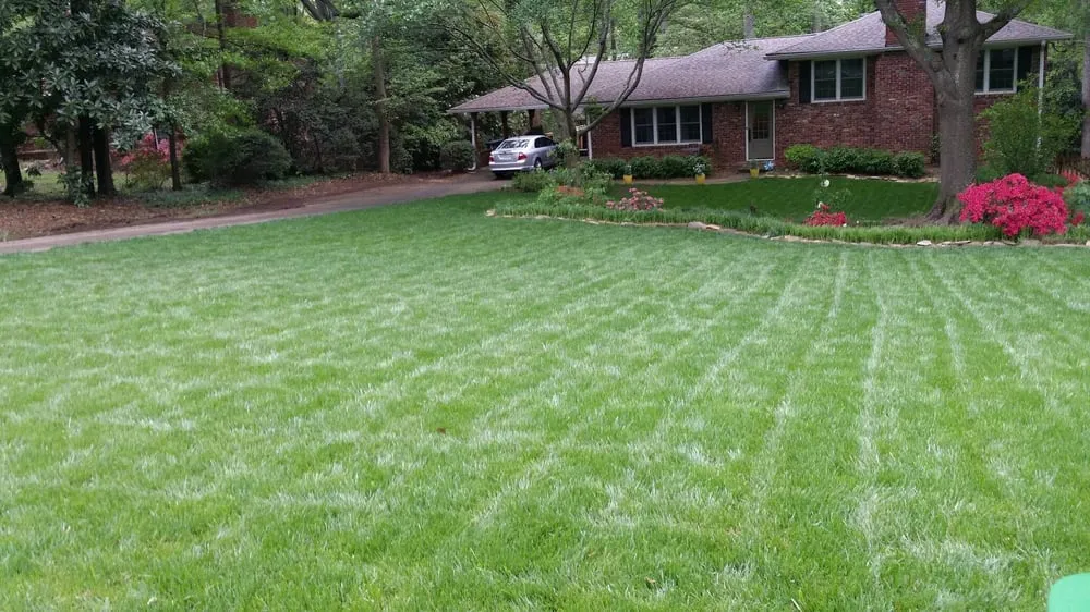 Custom landscaping services in Alpharetta, GA - Weed Pro
