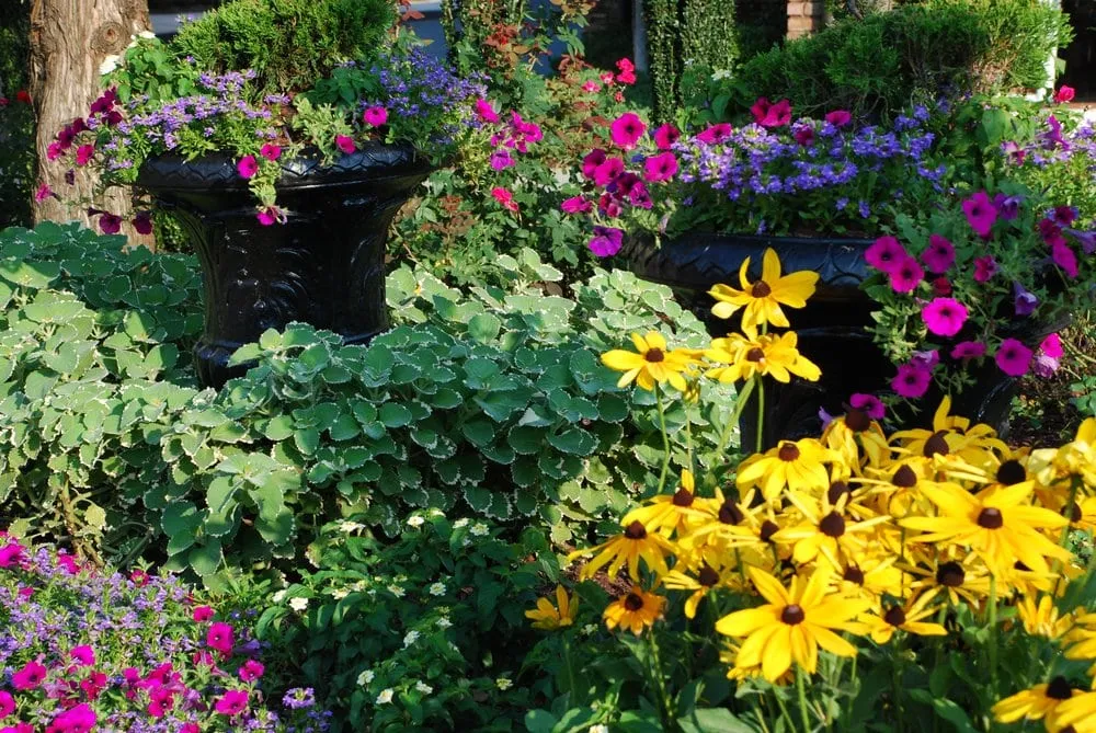 Affordable garden landscaping in Alpharetta, GA - Weed Pro