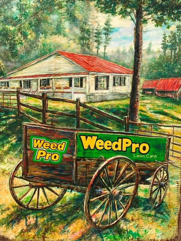 Expert yard maintenance experts serving Cumming, GA - Weed Pro