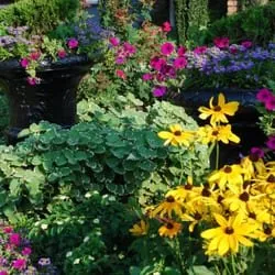 Professional landscape design for year-round maintenance across Cumming, GA - Weed Pro