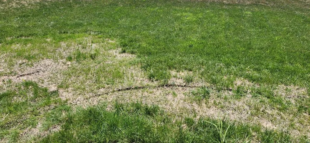 Custom landscape installation for beautiful yards in Sheffield Village, OH by Weed Pro Lawn Care