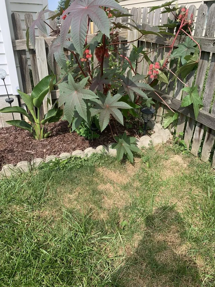 Reliable residential landscaping with custom design across Lewis Center, OH - Weed Pro