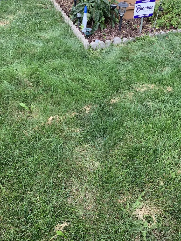 Local lawn care service for homes across Lewis Center, OH - Weed Pro