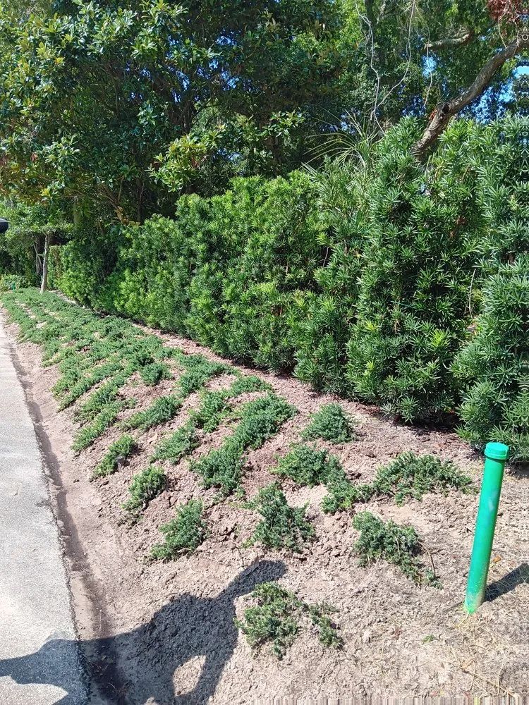 Local lawn mowing service for outdoor upgrades across Yulee, FL - Weed Pullers - Odd Jobs