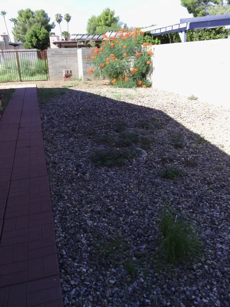 Local yard maintenance with custom design in Tucson, AZ by Weed Trol of Tucson