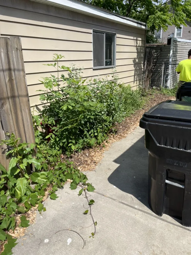 Custom garden landscaping for residential properties in Tonawanda, NY by Weed Wackers Landscaping