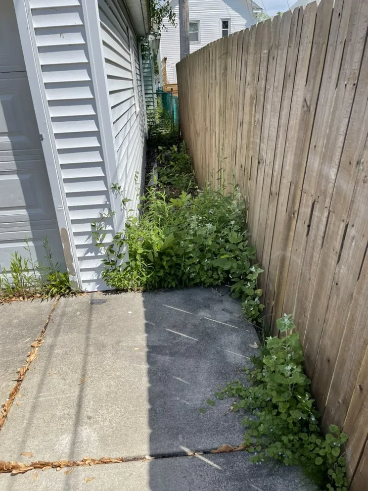 Expert outdoor landscaping near you across Tonawanda, NY - Weed Wackers Landscaping