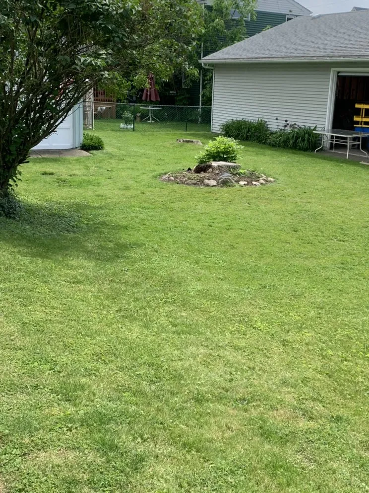 Custom yard cleanup service for outdoor upgrades across Tonawanda, NY - Weed Wackers Landscaping