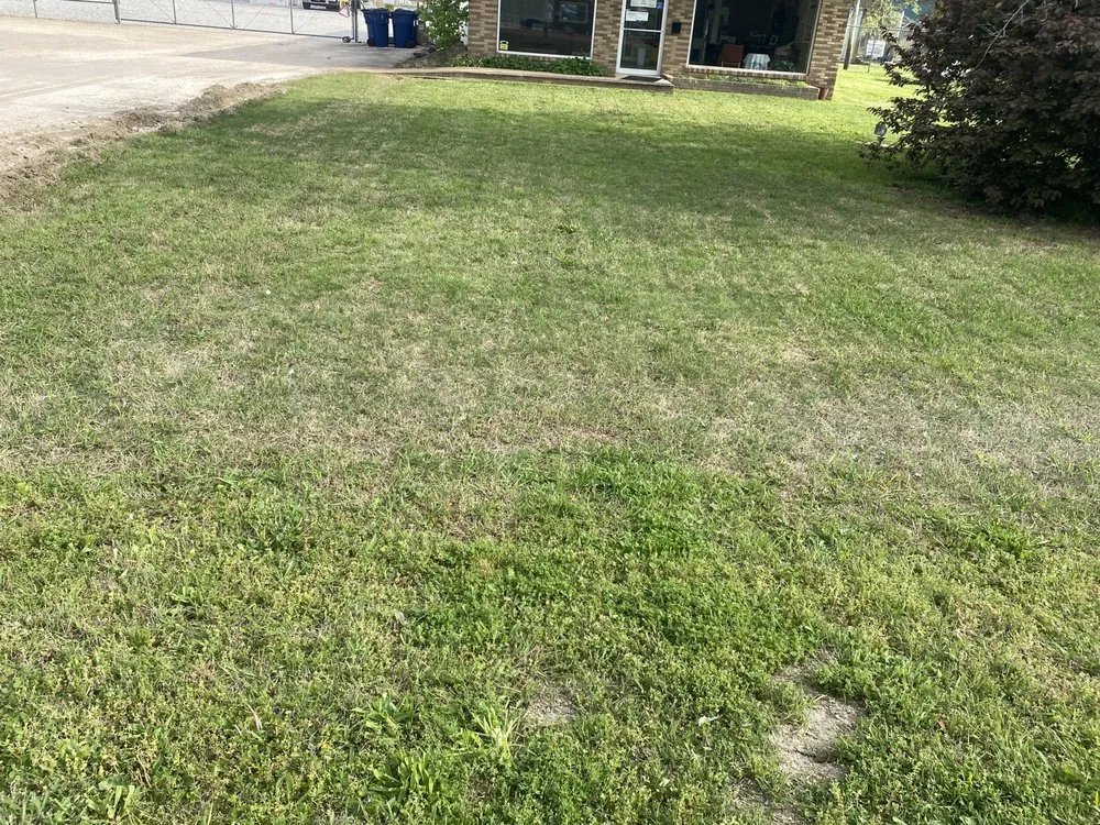 Expert landscape design experts serving Somerville, TN - Weed Wackers Lawn and Landscaping