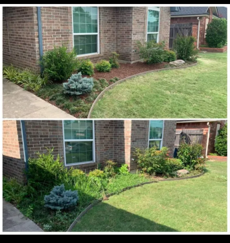 Professional yard maintenance for year-round maintenance in Moore, OK by Weed Wackers