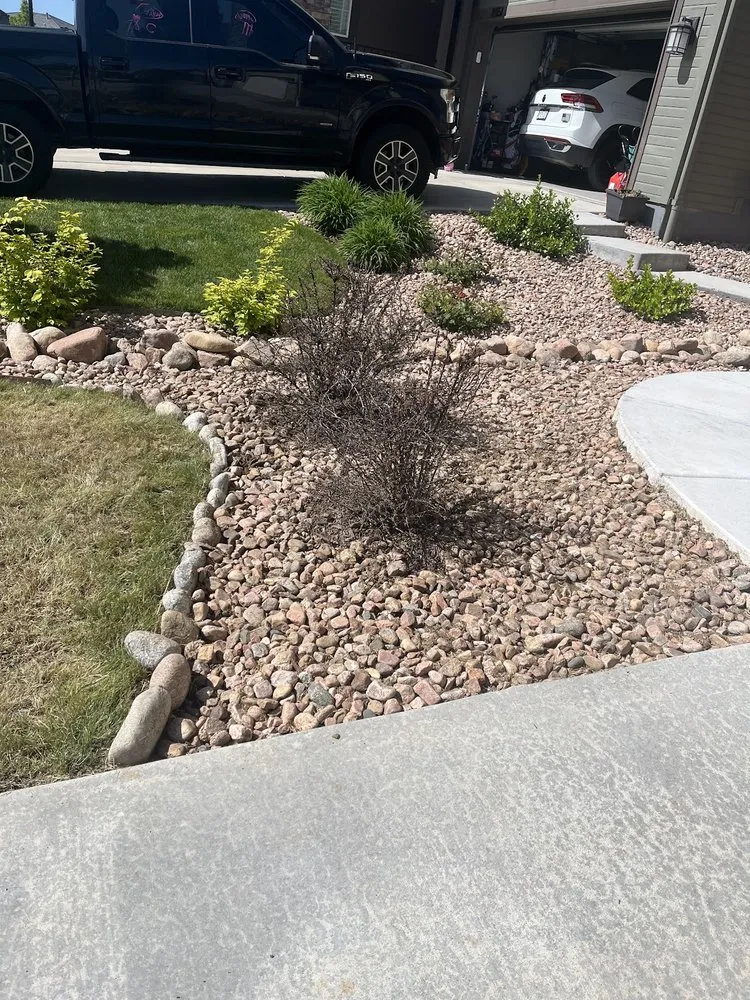 Custom landscaping services in Parker, CO by Weed Warriors No Weed Left Behind