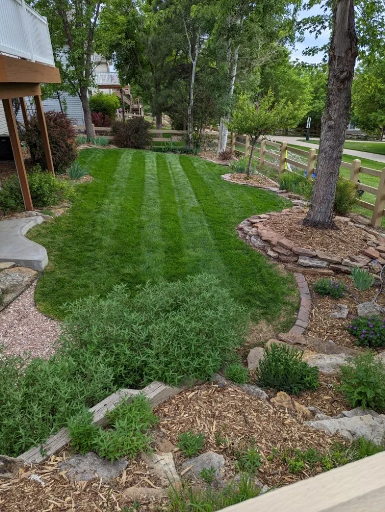 Trusted yard cleanup service in Parker, CO by Weed Warriors No Weed Left Behind