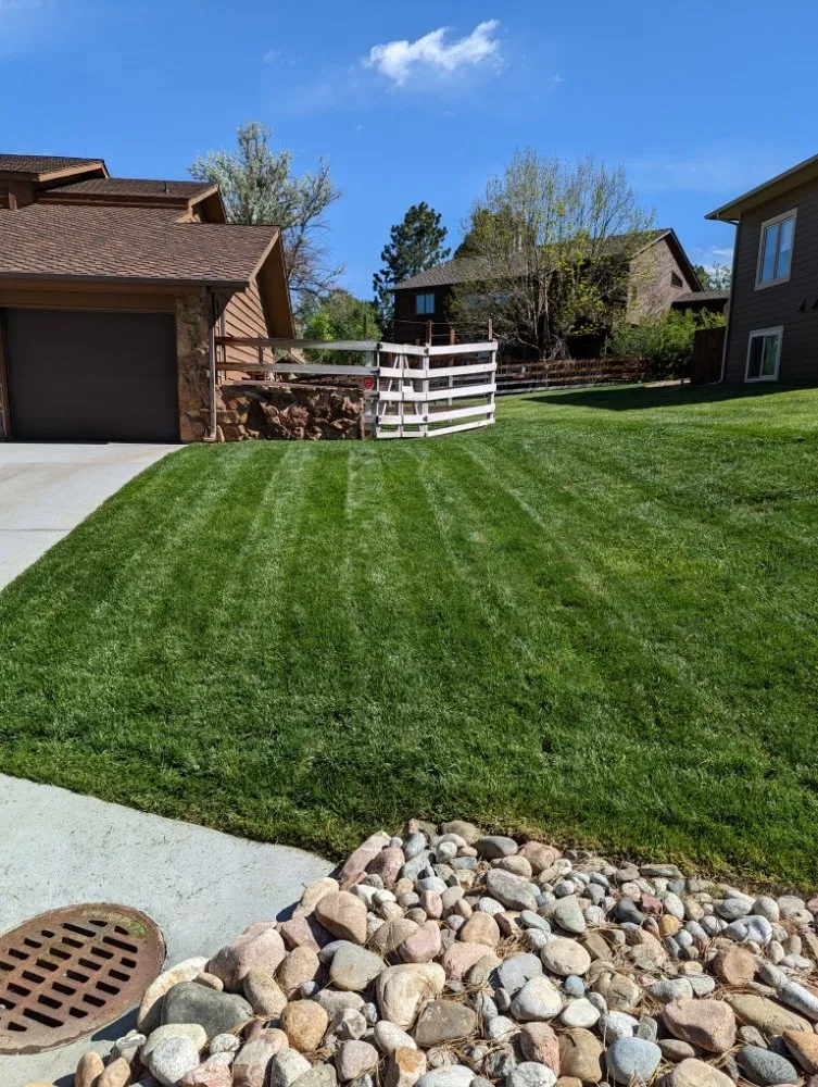 Top-rated landscaping services in Parker, CO - Weed Warriors No Weed Left Behind
