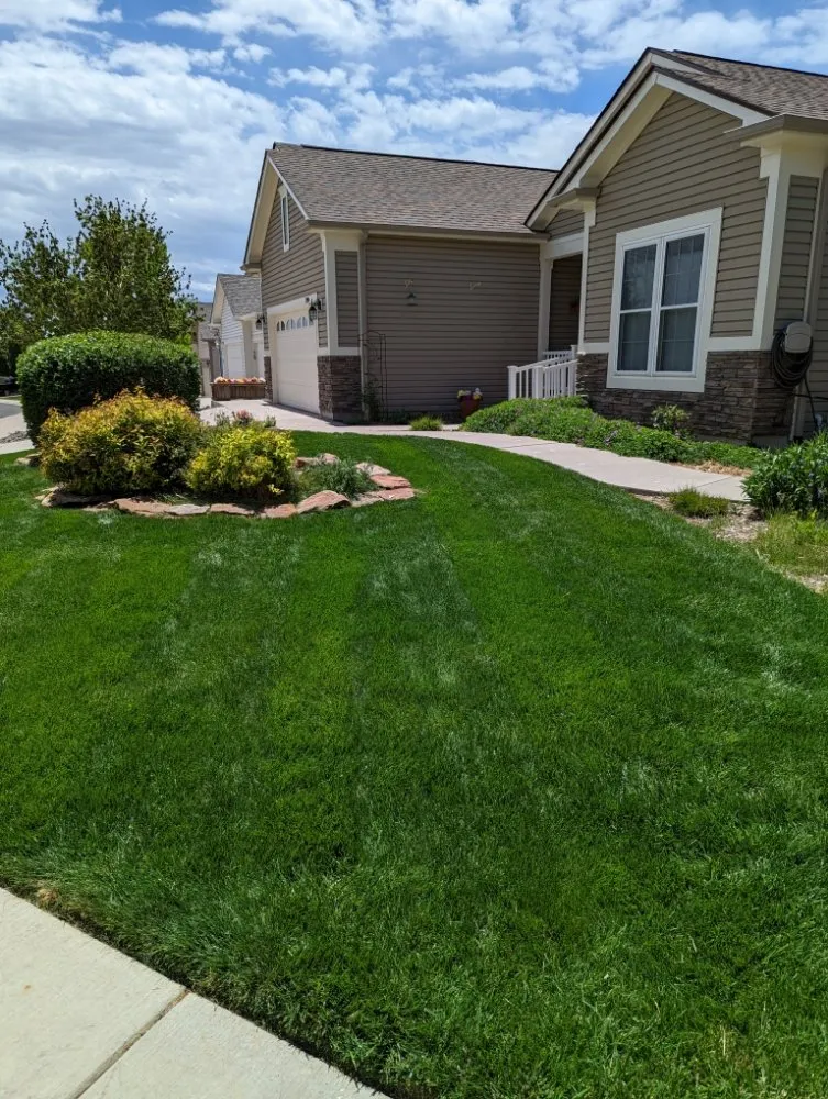 Affordable yard maintenance in Parker, CO by Weed Warriors No Weed Left Behind