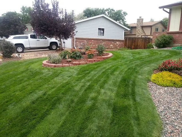 Reliable yard cleanup service experts serving Parker, CO - Weed Warriors No Weed Left Behind