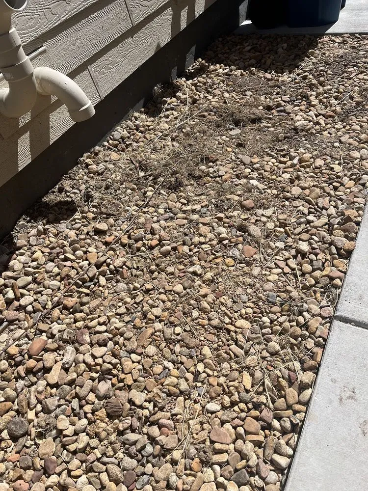 Reliable lawn mowing service in Parker, CO - Weed Warriors No Weed Left Behind