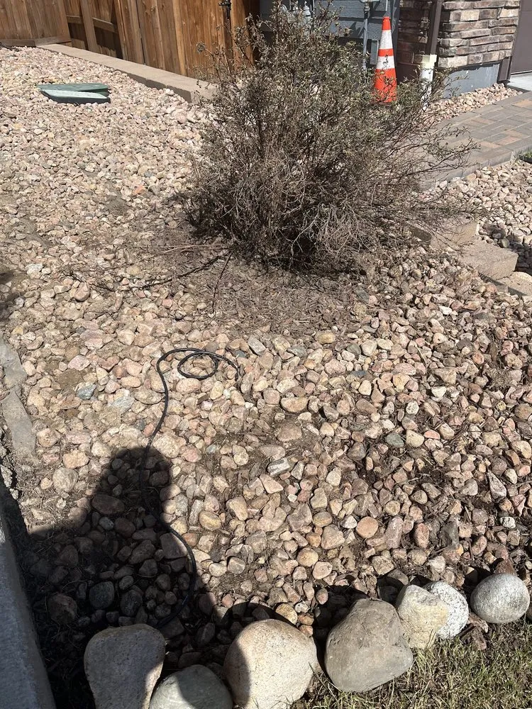 Reliable landscape installation experts serving Parker, CO - Weed Warriors No Weed Left Behind