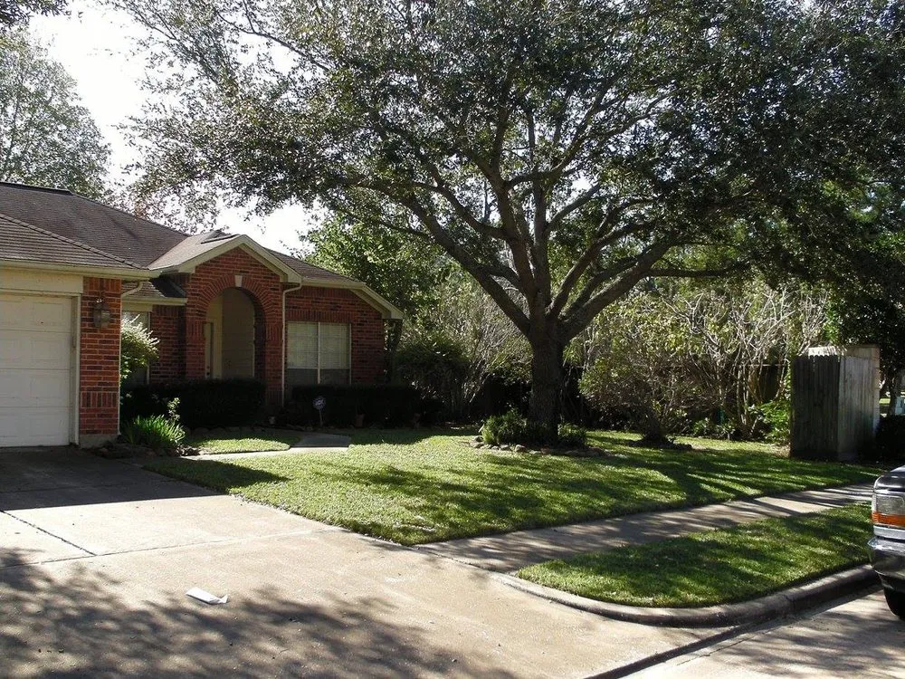 Affordable lawn care service in Humble, TX by Weed Whacker Lawn Care