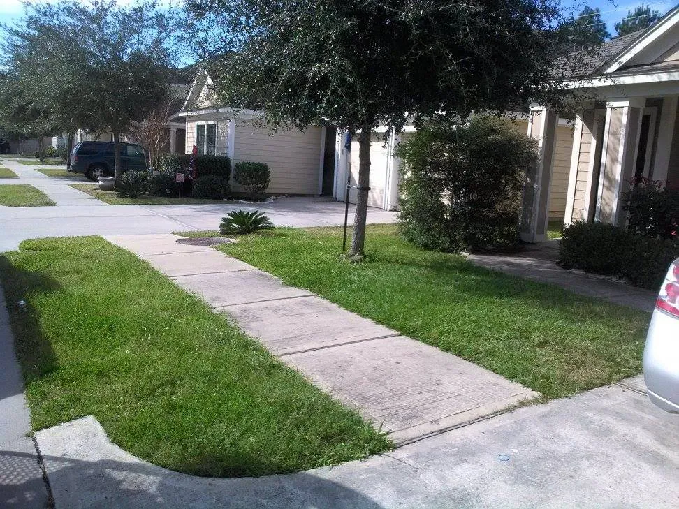 Affordable yard cleanup service in Humble, TX by Weed Whacker Lawn Care