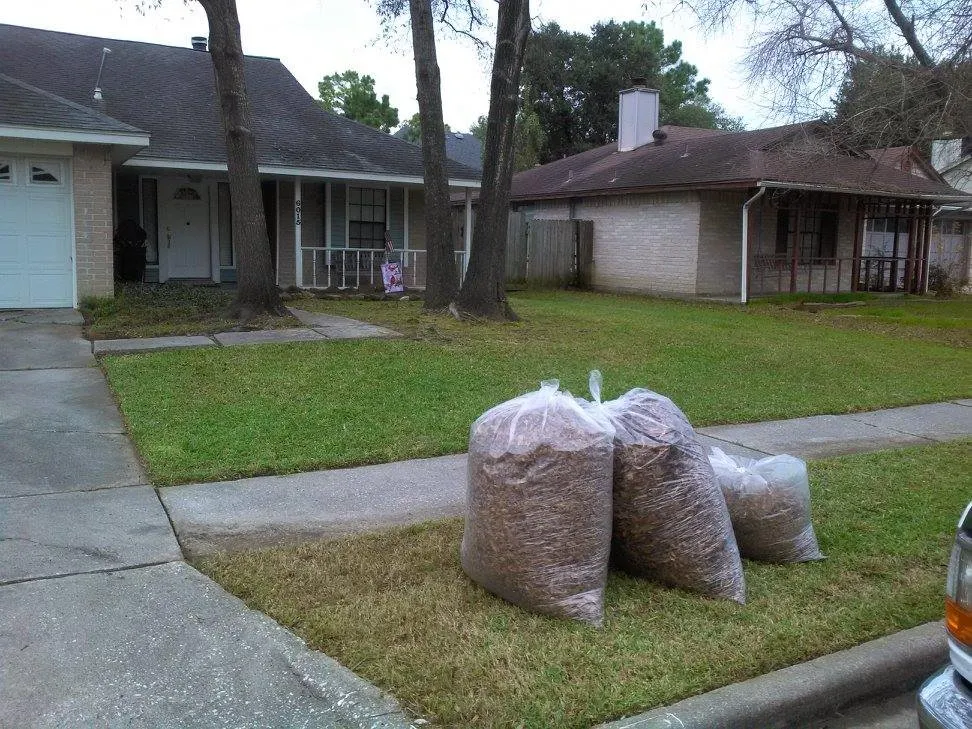 Custom yard maintenance near you across Humble, TX - Weed Whacker Lawn Care