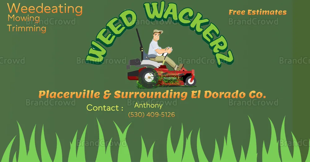 Trusted yard cleanup service in Pollock Pines, CA by Weed Whackerz