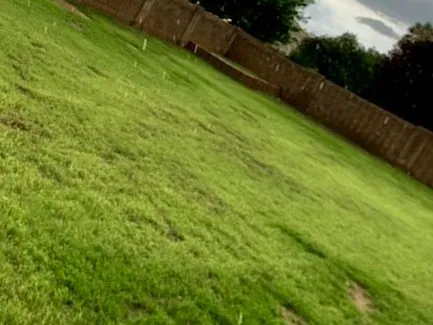 Local garden landscaping in Sierra Vista, AZ - Weed Whippin Widow