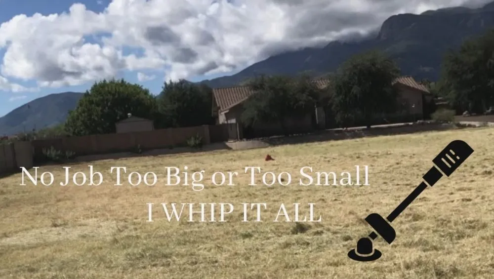 Custom landscaping services in Sierra Vista, AZ - Weed Whippin Widow