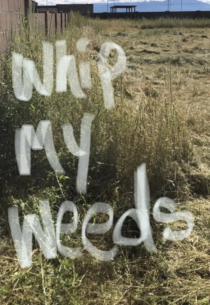 Local lawn care service for outdoor upgrades across Sierra Vista, AZ - Weed Whippin Widow